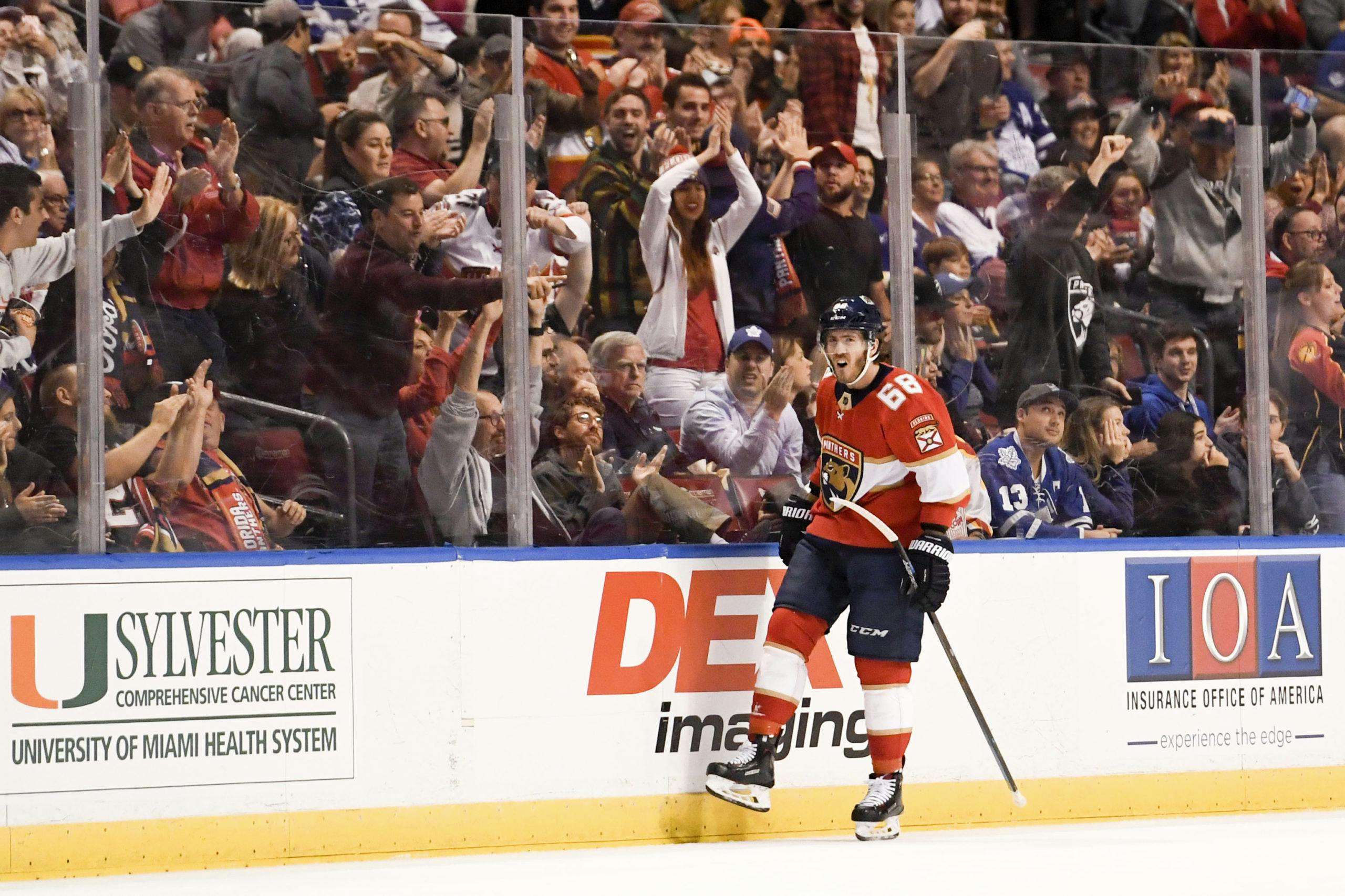 NHL Forward Mike Hoffman